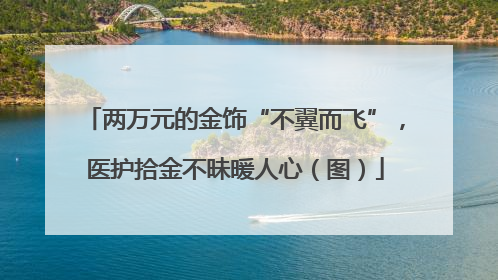 两万元的金饰“不翼而飞”，医护拾金不昧暖人心（图）