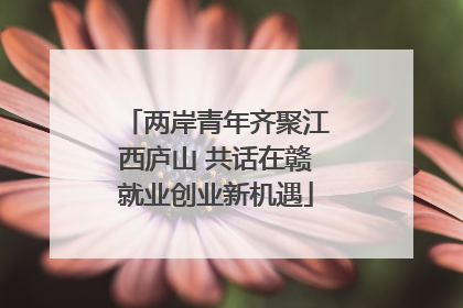 两岸青年齐聚江西庐山 共话在赣就业创业新机遇