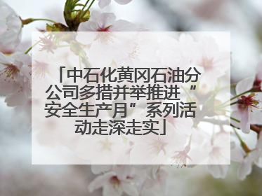 中石化黄冈石油分公司多措并举推进“安全生产月”系列活动走深走实