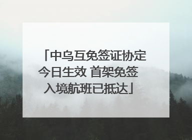 中乌互免签证协定今日生效 首架免签入境航班已抵达