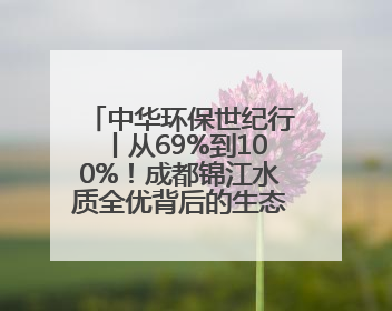 中华环保世纪行丨从69%到100%！成都锦江水质全优背后的生态治理密码
