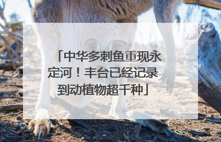 中华多刺鱼重现永定河！丰台已经记录到动植物超千种