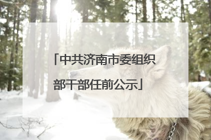 中共济南市委组织部干部任前公示