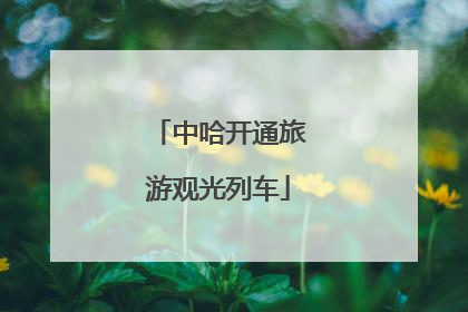 中哈开通旅游观光列车