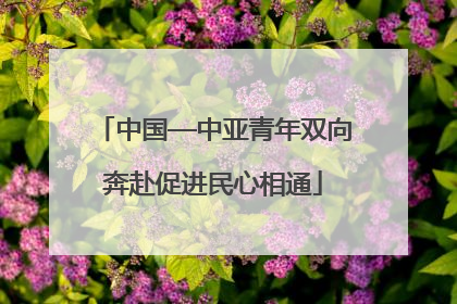 中国—中亚青年双向奔赴促进民心相通