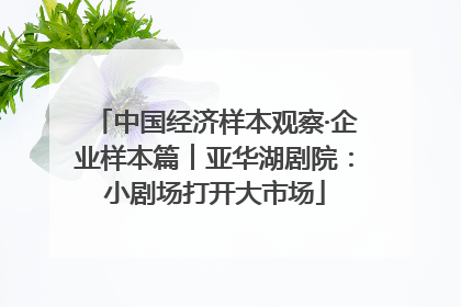 中国经济样本观察·企业样本篇︱亚华湖剧院：小剧场打开大市场