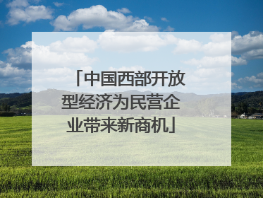 中国西部开放型经济为民营企业带来新商机