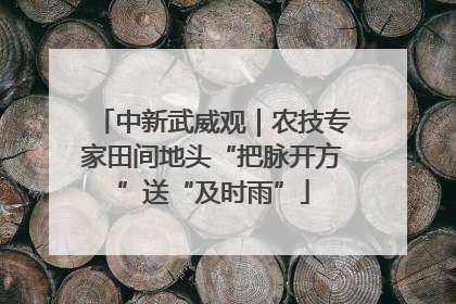 中新武威观｜农技专家田间地头“把脉开方”送“及时雨”