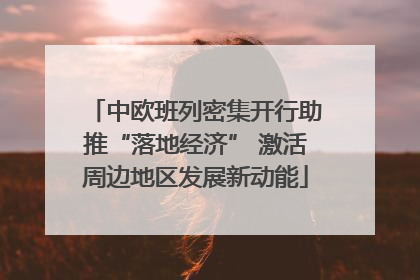 中欧班列密集开行助推“落地经济” 激活周边地区发展新动能