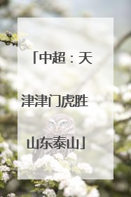 中超：天津津门虎胜山东泰山