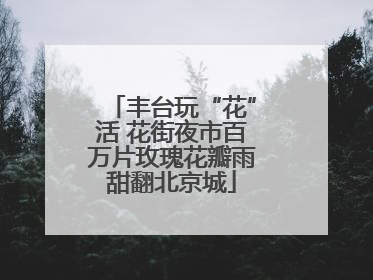 丰台玩“花”活 花街夜市百万片玫瑰花瓣雨甜翻北京城