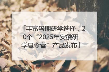 丰富暑期研学选择，20个“2025年安徽研学夏令营”产品发布