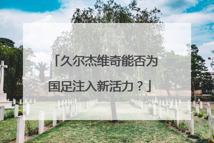 久尔杰维奇能否为国足注入新活力？