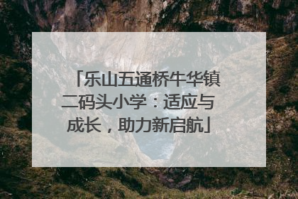 乐山五通桥牛华镇二码头小学：适应与成长，助力新启航