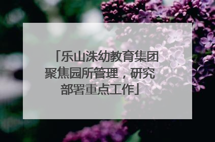乐山洙幼教育集团聚焦园所管理，研究部署重点工作