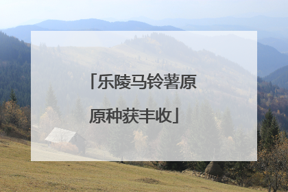 乐陵马铃薯原原种获丰收