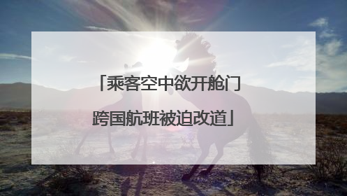 乘客空中欲开舱门 跨国航班被迫改道