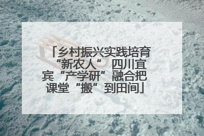 乡村振兴实践培育“新农人” 四川宜宾“产学研”融合把课堂“搬”到田间