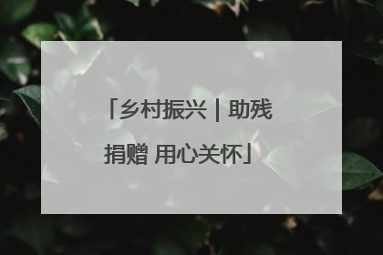乡村振兴｜助残捐赠 用心关怀