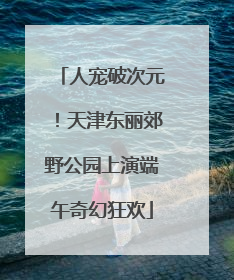 人宠破次元！天津东丽郊野公园上演端午奇幻狂欢