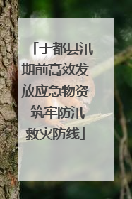 于都县汛期前高效发放应急物资 筑牢防汛救灾防线
