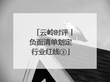 云岭时评丨负面清单划定行业红线③