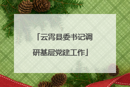 云霄县委书记调研基层党建工作