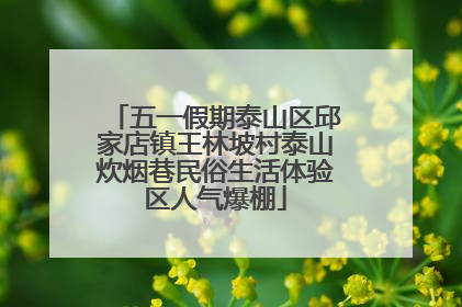 五一假期泰山区邱家店镇王林坡村泰山炊烟巷民俗生活体验区人气爆棚