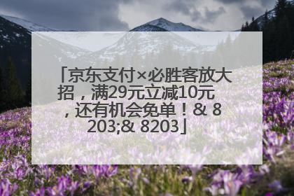京东支付×必胜客放大招，满29元立减10元，还有机会免单！& 8203;& 8203