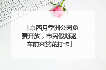 京西月季洲公园免费开放，市民假期驱车前来赏花打卡