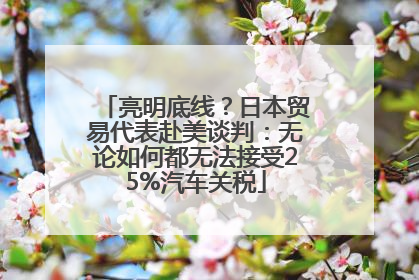 亮明底线？日本贸易代表赴美谈判：无论如何都无法接受25%汽车关税