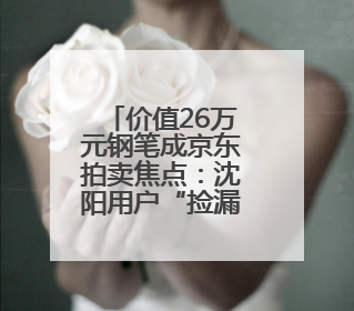 价值26万元钢笔成京东拍卖焦点：沈阳用户“捡漏”省下22.5万元