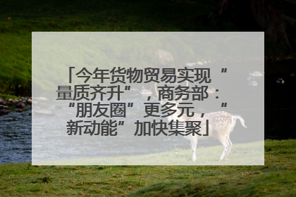 今年货物贸易实现“量质齐升”，商务部：“朋友圈”更多元，“新动能”加快集聚