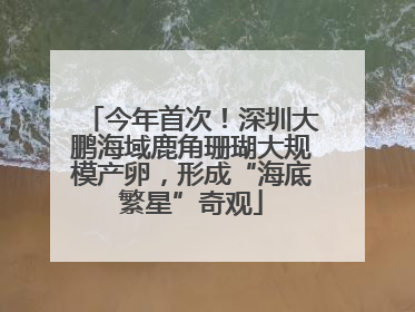 今年首次！深圳大鹏海域鹿角珊瑚大规模产卵，形成“海底繁星”奇观