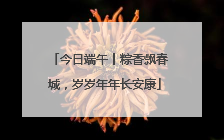 今日端午丨粽香飘春城，岁岁年年长安康