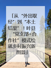从“外出取经”到“本土结果”！叶县“党支部+合作社”模式绘就乡村振兴新图景