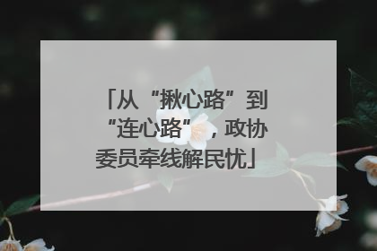 从“揪心路”到“连心路”，政协委员牵线解民忧