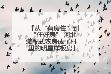 从“有房住”到“住好房” 河北装配式农房成了村里的明星样板房