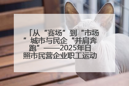 从“赛场”到“市场”城市与民企“并肩奔跑”——2025年日照市民营企业职工运动会亮点观察