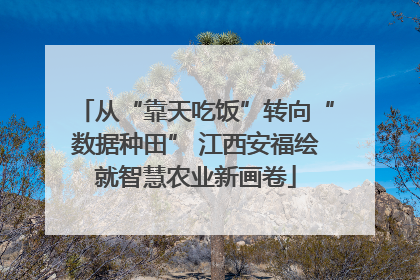从“靠天吃饭”转向“数据种田” 江西安福绘就智慧农业新画卷