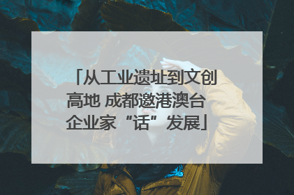 从工业遗址到文创高地 成都邀港澳台企业家“话”发展