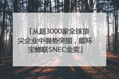 从超3000家全球顶尖企业中强势突围，能环宝蝉联SNEC金奖