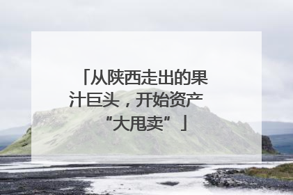从陕西走出的果汁巨头，开始资产“大甩卖”