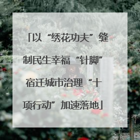 以“绣花功夫”缝制民生幸福“针脚” 宿迁城市治理“十项行动”加速落地