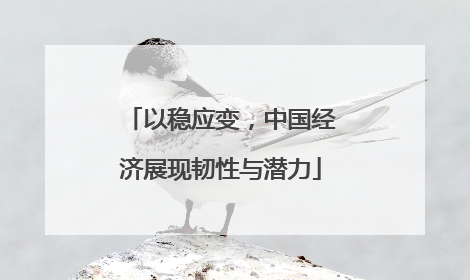 以稳应变，中国经济展现韧性与潜力