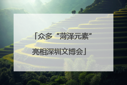 众多“菏泽元素”亮相深圳文博会