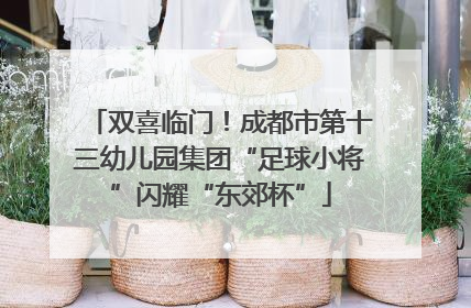 双喜临门！成都市第十三幼儿园集团“足球小将”闪耀“东郊杯”