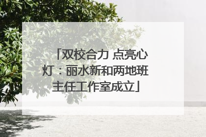 双校合力 点亮心灯：丽水新和两地班主任工作室成立