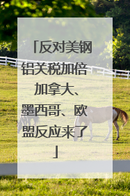 反对美钢铝关税加倍 加拿大、墨西哥、欧盟反应来了