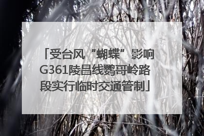 受台风“蝴蝶”影响 G361陵昌线鹦哥岭路段实行临时交通管制